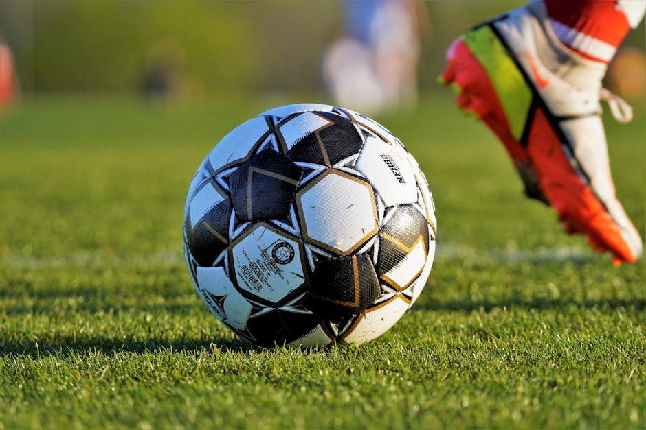 fotbollsplan 4